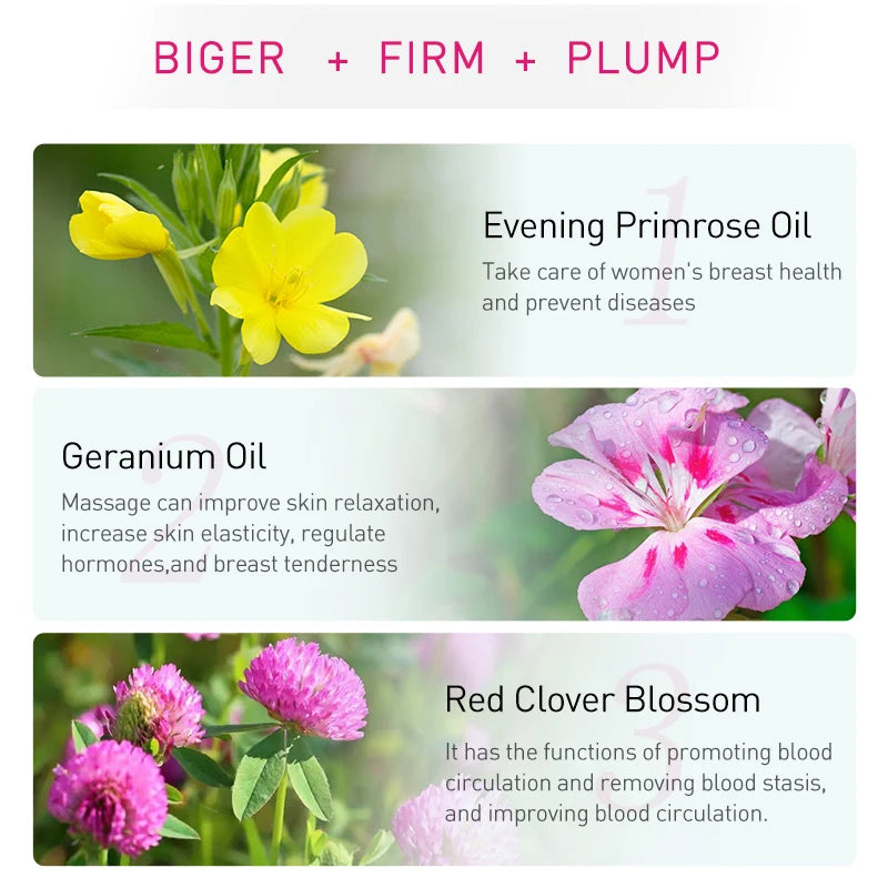 AUQUEST Herbaceous Breast Firming Oil – Natural Plant Blend 30ml Body Firming Oil Qst