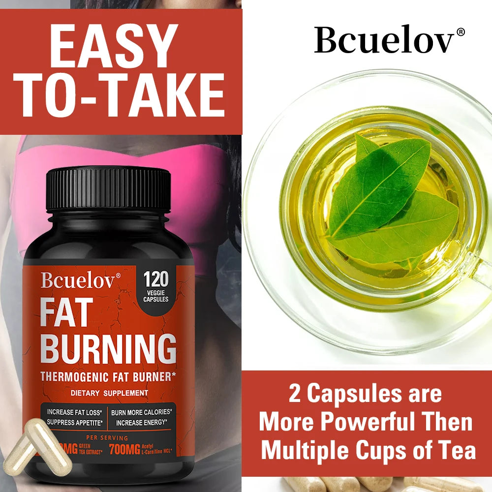 Acetyl-L-Carnitine Capsules | Green Tea & Caffeine Blend Dietary Supplement Qst