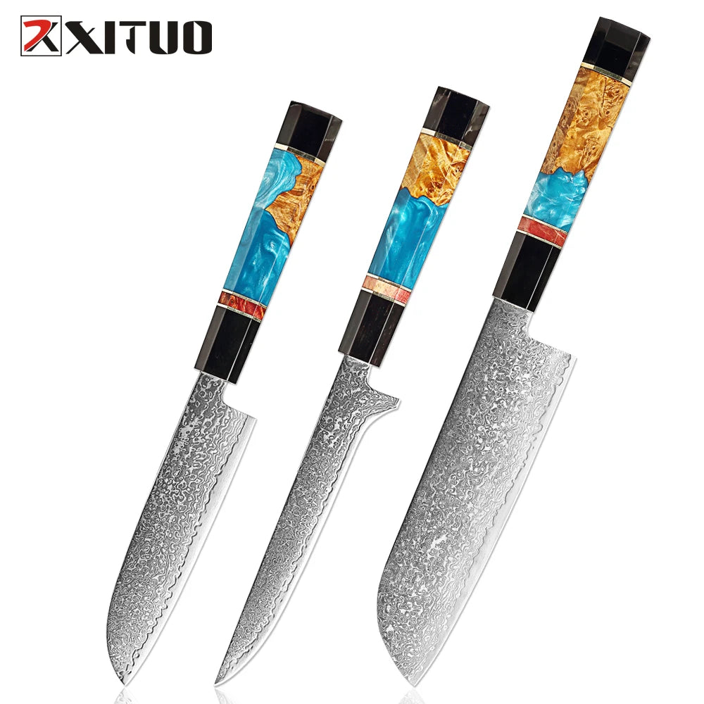 Damascus Steel Kitchen Knife Set – Santoku & Paring Knives Kitchen Knife Set Qst 3PC Knife