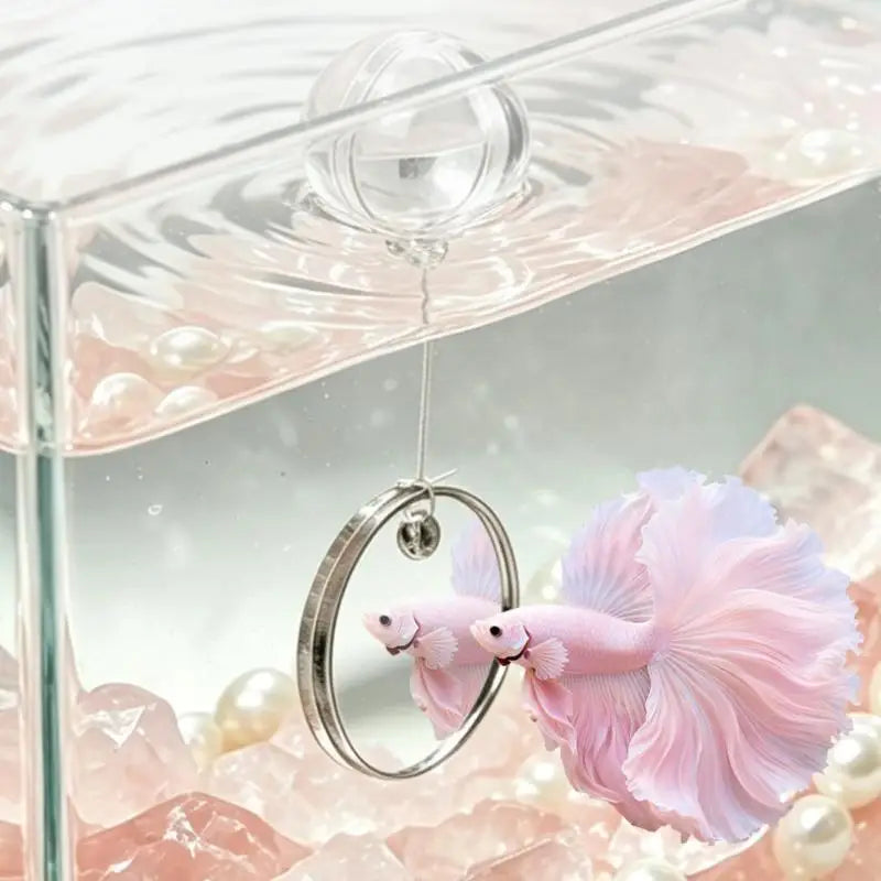 Floating Acrylic Betta Fish Mirror – Double-Sided Tank Toy Aquarium Fish Mirror Qst