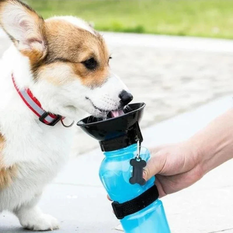 Portable Pet Water Bottle for Dogs & Cats – 500ml Leakproof Pet Travel Water Bottle Qme