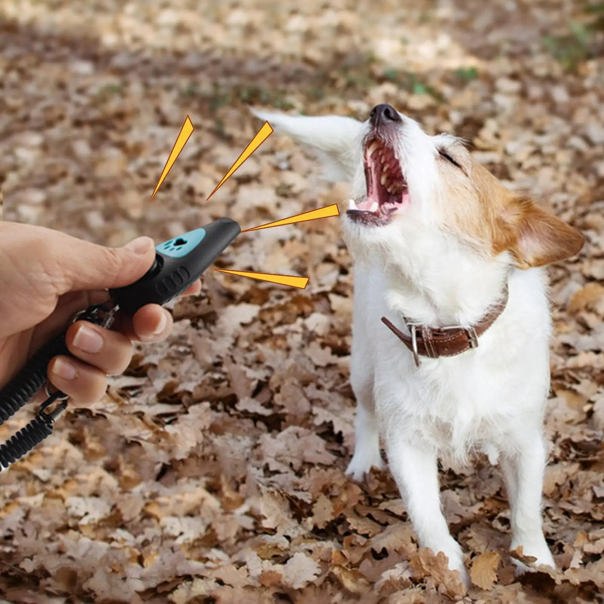 Dog Clicker & Silent Whistle with Wrist Strap | Pet Training Pet Training Clicker Qme
