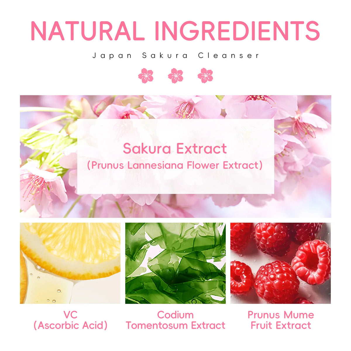 Sakura Amino Acid Face Cleanser – Oil Control & Blackhead Foam Facial Cleanser Qst