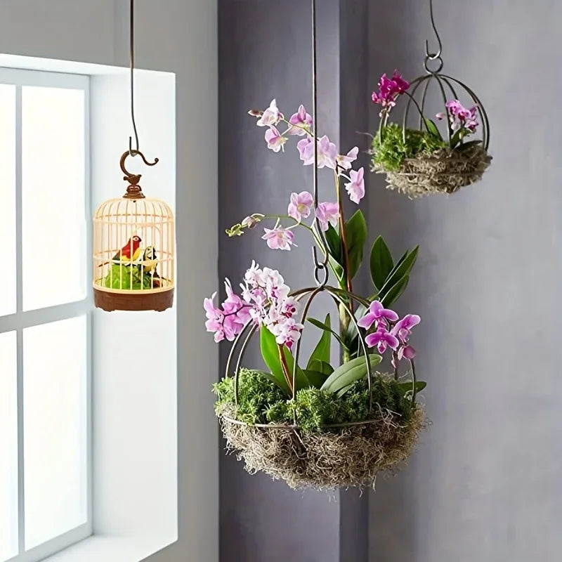 Voice-Activated Singing Bird Cage Toy – Chirping Parrot Novelty Bird Toy Qme