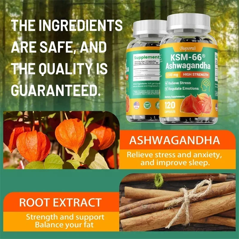 KSM-66 Ashwagandha Capsules 1200mg – Adaptogen Supplement Herbal Supplement Qst