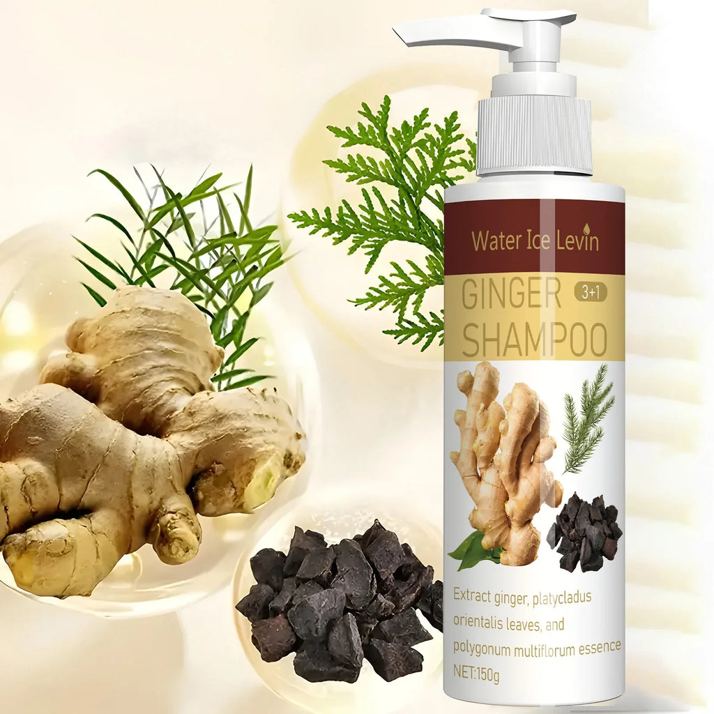 Ginger Regrowth Shampoo – Oil Control & Dandruff Removal Hair Growth Shampoo Qme