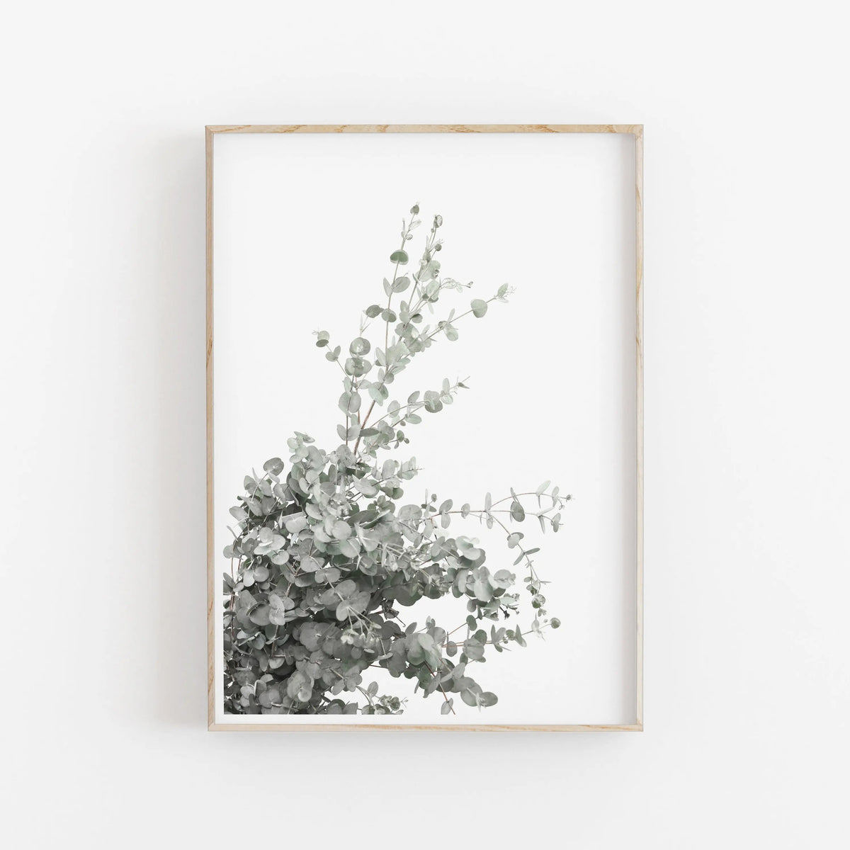 Nordic Botanical Canvas Print – Eucalyptus & Palm Leaves Art Botanical Canvas Print Qst 05 50x70cm Unframed