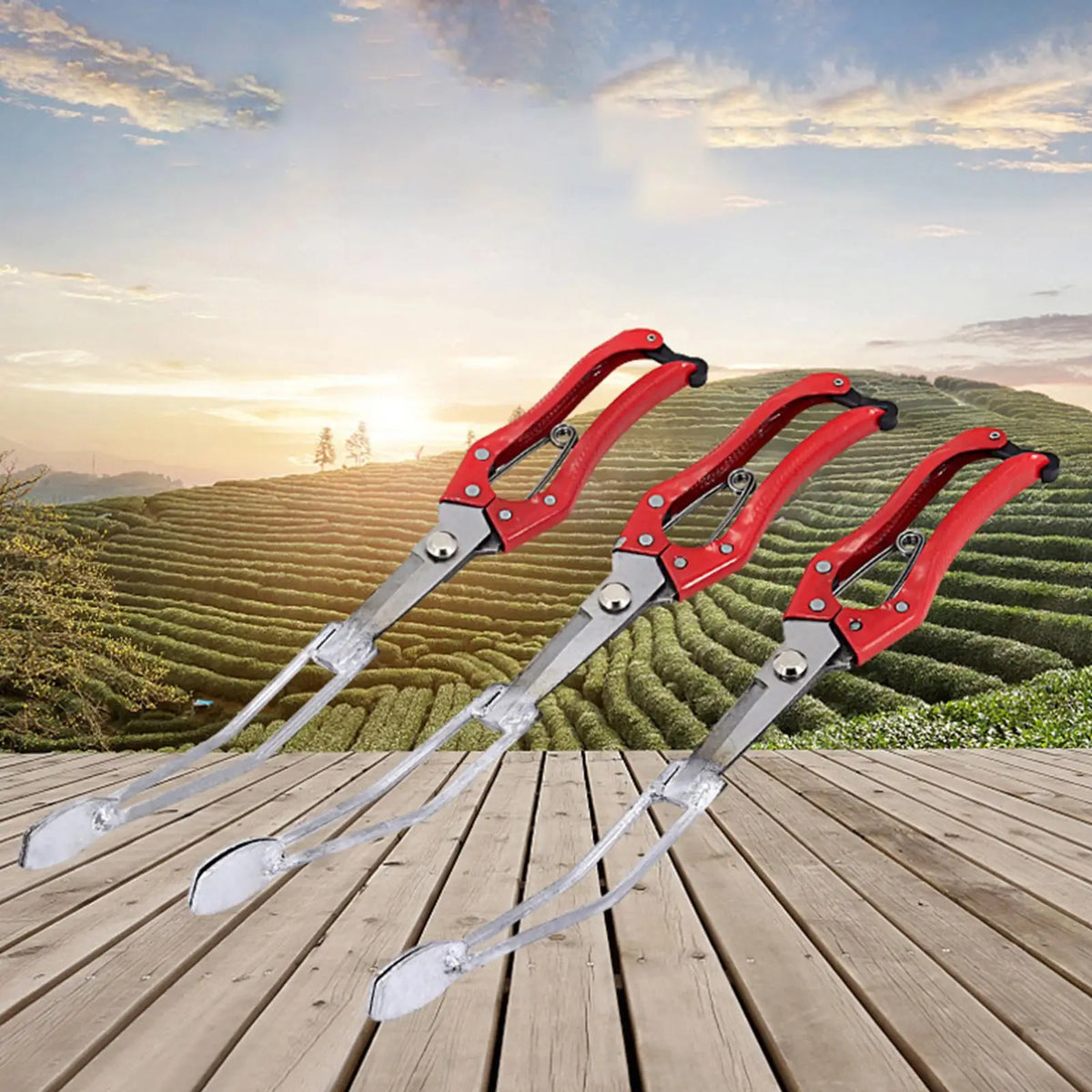 Manual Seedling Transplanter Tool – Iron Garden Planter, 35cm Seedling Transplanter Tool Qme