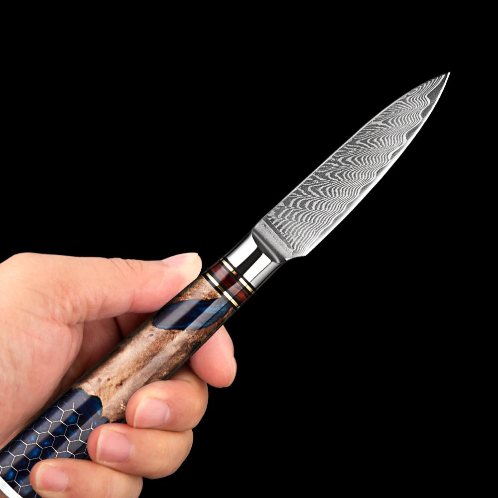XITUO 3.5" Damascus Steel Paring Knife – Full Tang Wood Handle Damascus Paring Knife Qst
