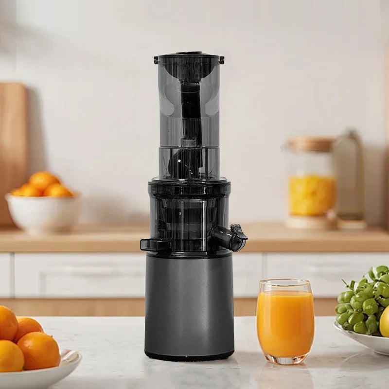 2L Stainless Steel Slow Juicer – Commercial Juice Extractor Slow Masticating Juicer Qst