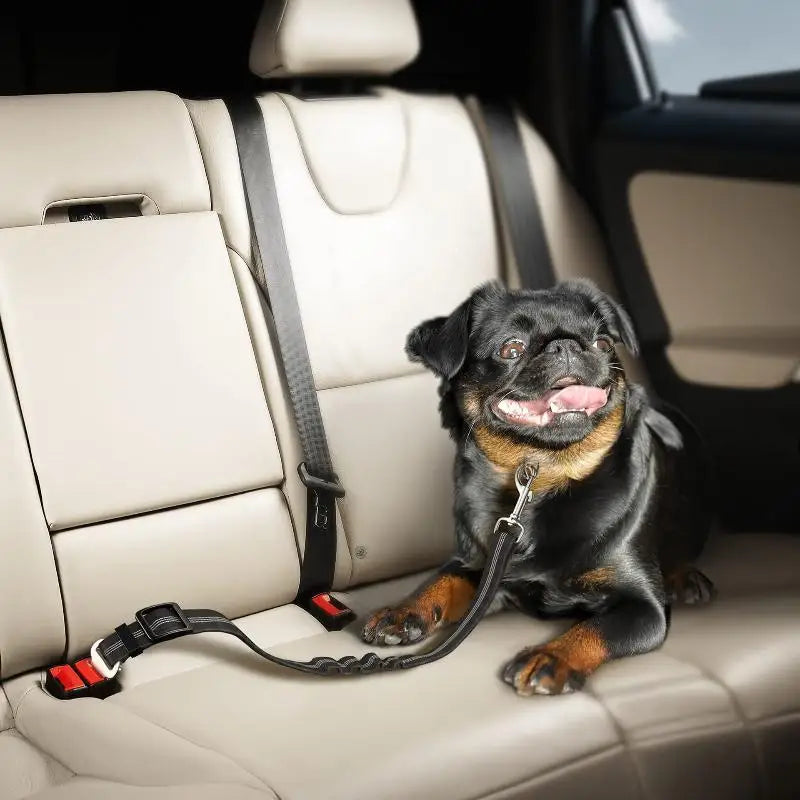 Reflective Bungee Dog Car Safety Belt – Adjustable Nylon Dog Car Safety Belt Qme