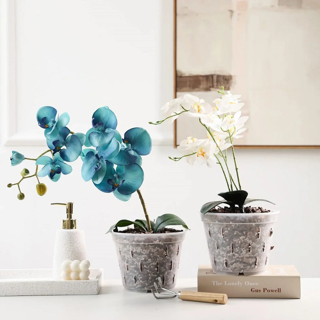 Clear Orchid Pots with Holes & Saucers – Set of 5 | 5.5in Orchid Planter Set Qme