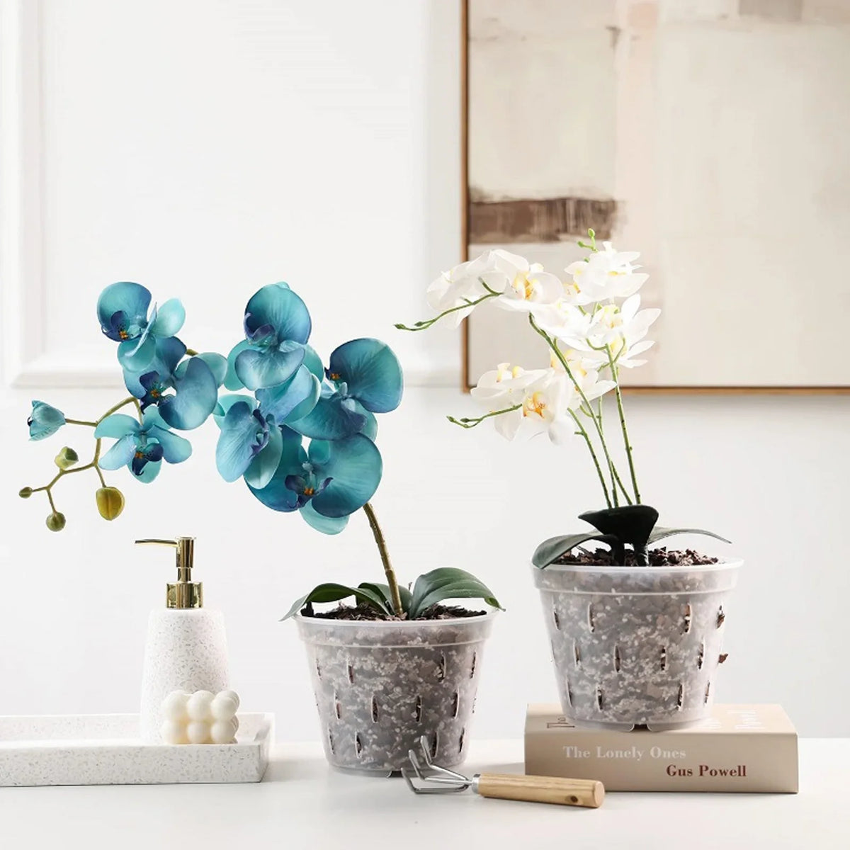 Clear Orchid Pots with Holes & Saucers – Set of 5 | 5.5in Orchid Planter Set Qme