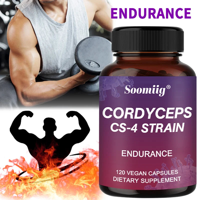 Cordyceps Mushroom Extract Capsules – Energy & Focus Support Mushroom Supplement Qst