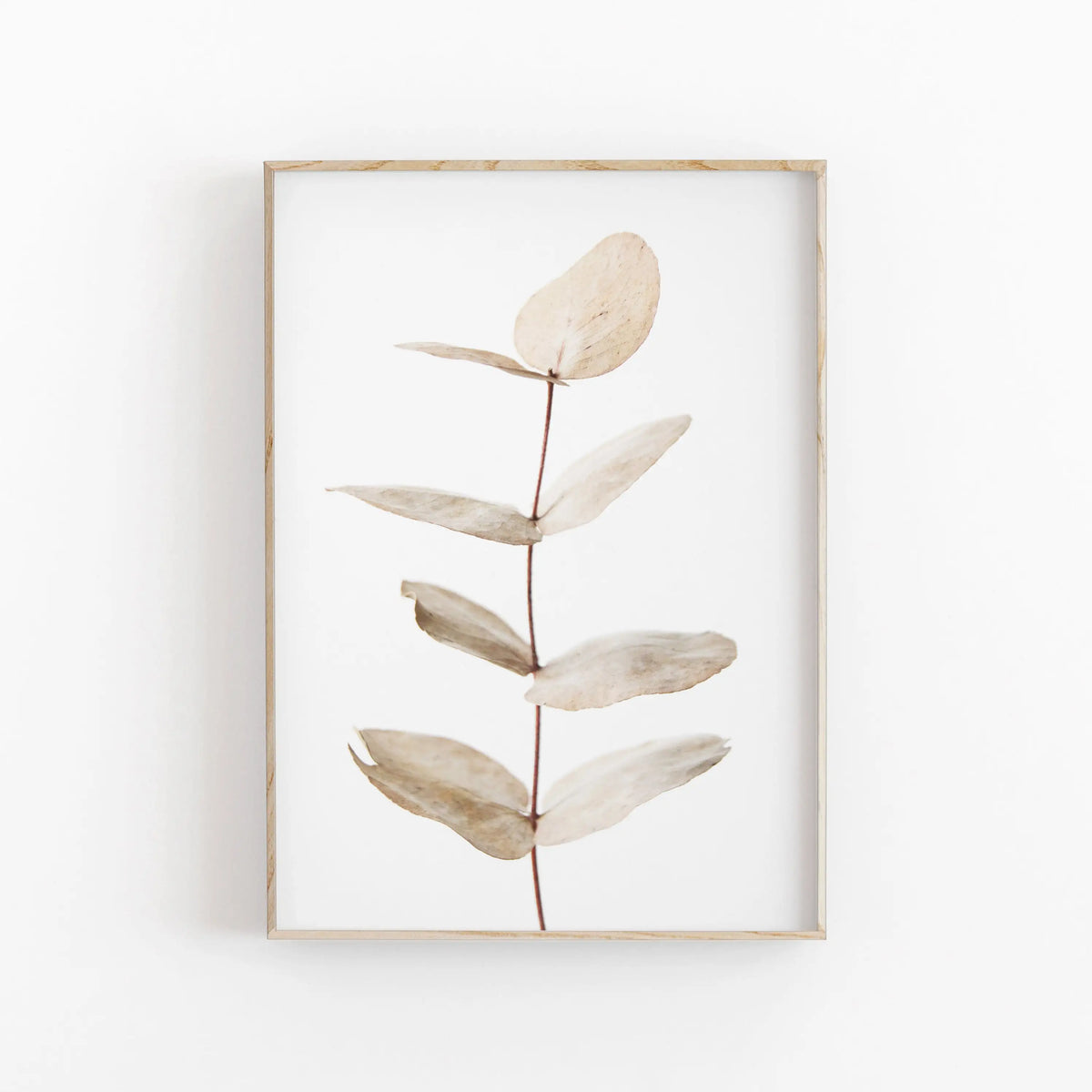 Nordic Botanical Canvas Poster – Eucalyptus Palm Leaf Wall Art Canvas Wall Art Qst 01 20x30cm Unframed