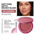Bouncy Matte Cream Blush with Brush – Buildable Soft Focus Cream Blush Qst 06
