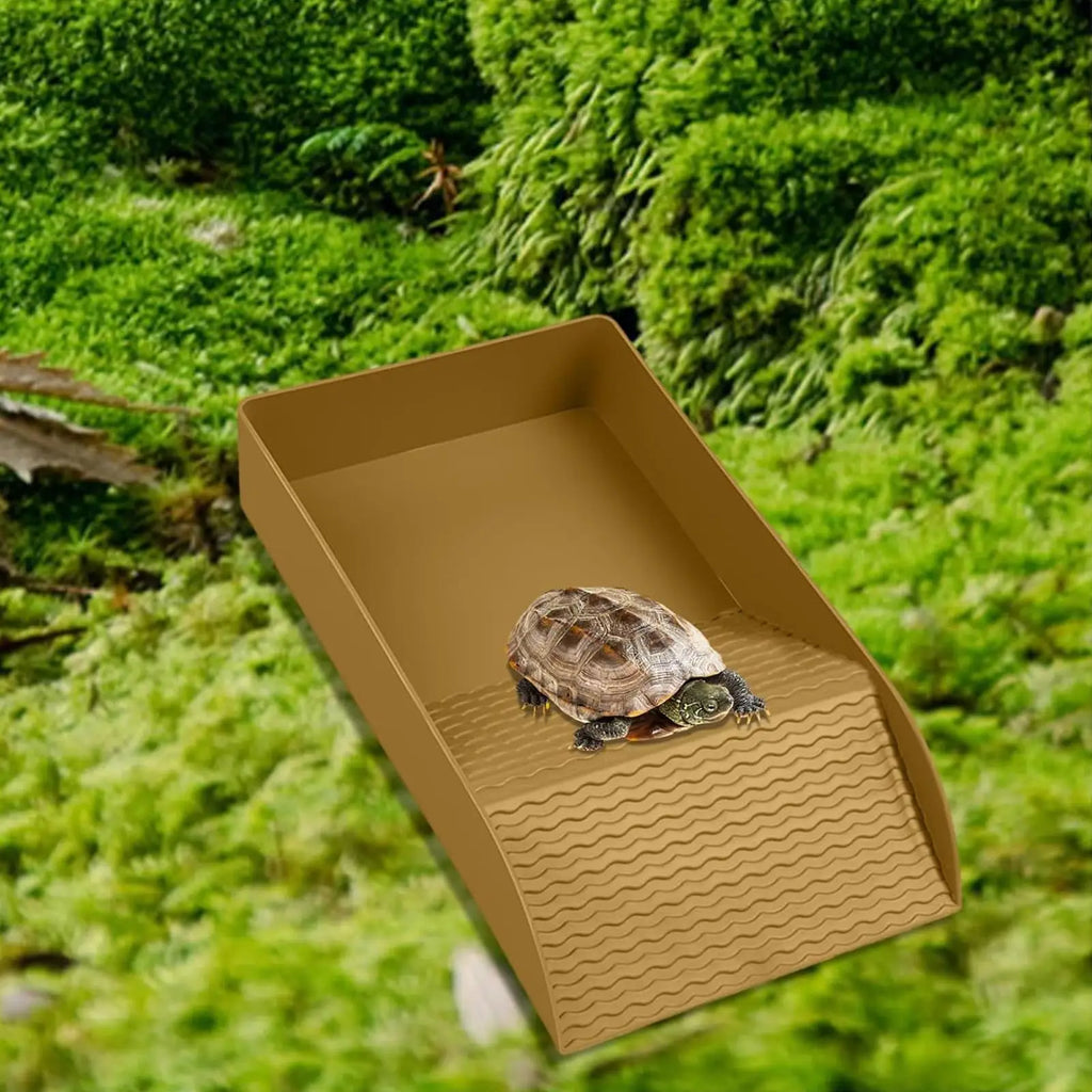 Tortoise Water Bowl & Reptile Bathing Dish with Ramp | Qme Reptile Bathing Dish Qme