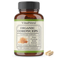 Organic Cordyceps Sinensis 1000mg – Energy & Endurance | 120 Caps Mushroom Supplement Qst 120 count-1 bottle
