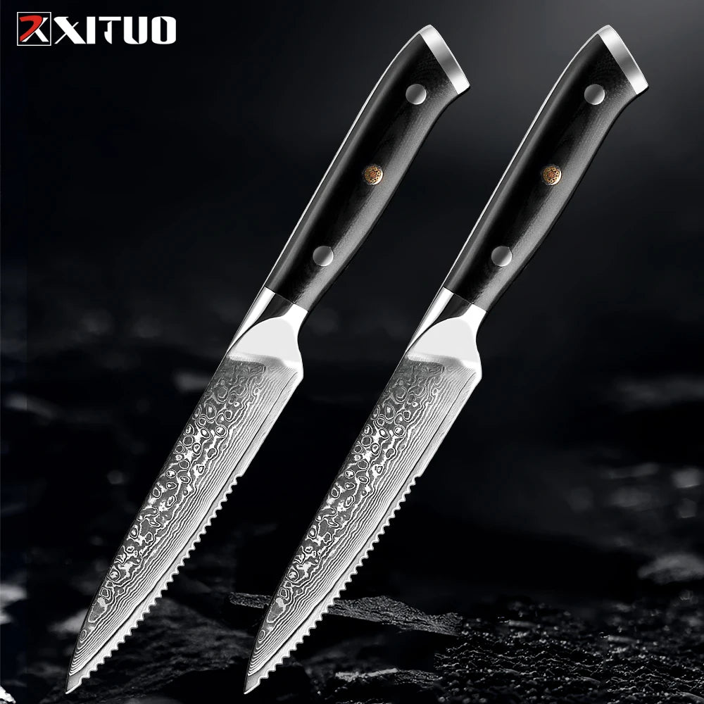 XITUO Damascus Steel Steak Knife Set – 67-Layer G10 Handle Damascus Steak Knife Set Qst 2pc steak knife