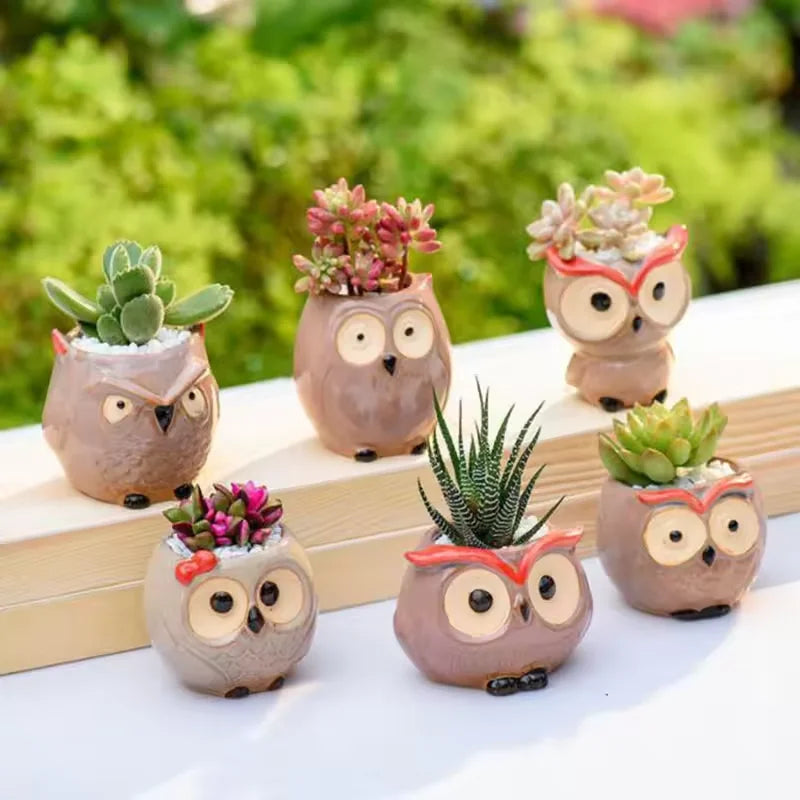 Mini Owl Ceramic Succulent Pot – Cute Animal Planter Décor Ceramic Planter Qst
