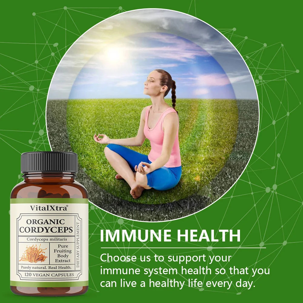 Organic Cordyceps Sinensis 1000mg – Energy & Endurance | 120 Caps Mushroom Supplement Qst