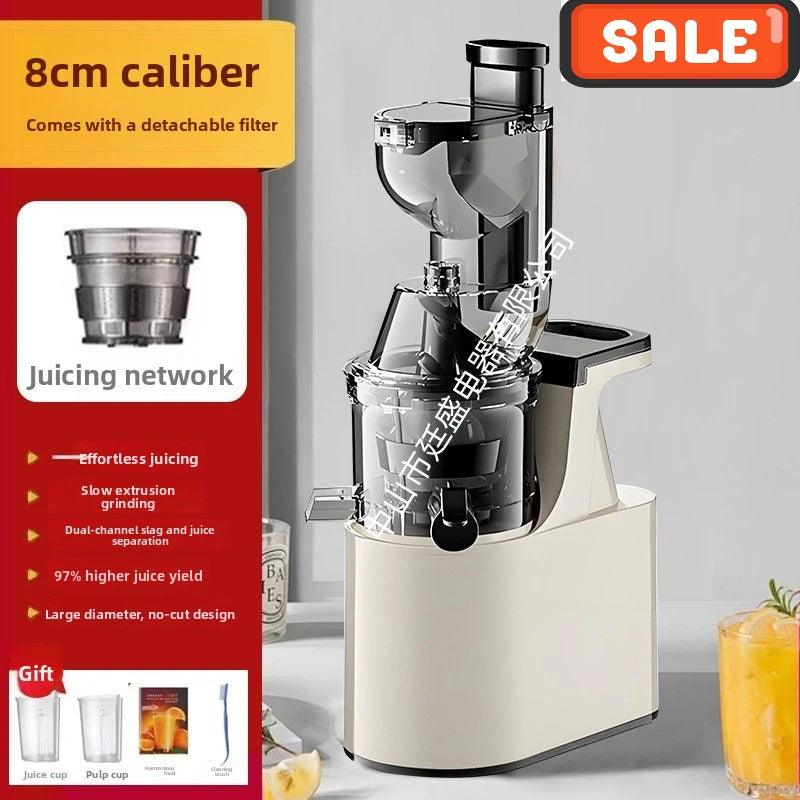 2L Stainless Steel Slow Juicer – Commercial Juice Extractor Slow Masticating Juicer Qst WHITE US