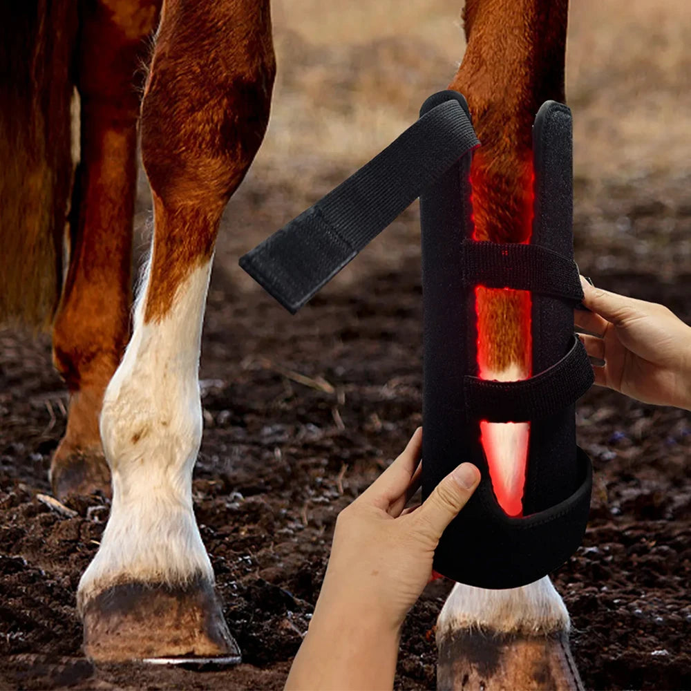 Equine Red Light Therapy Wrap 660nm 850nm – Horse Leg Wellness Equine Light Therapy Wrap Qst