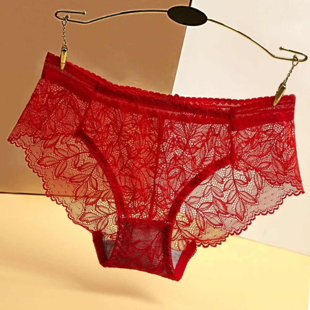 Women's Mesh Lace Briefs – Breathable Low Waist Panties Lace Briefs Qme
