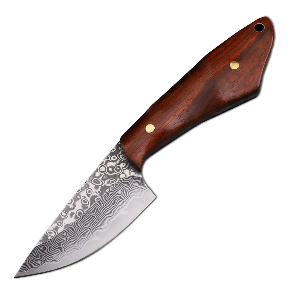 VG10 Damascus Steel Fixed Blade Knife – Sandalwood Handle EDC Fixed Blade Knife Qst