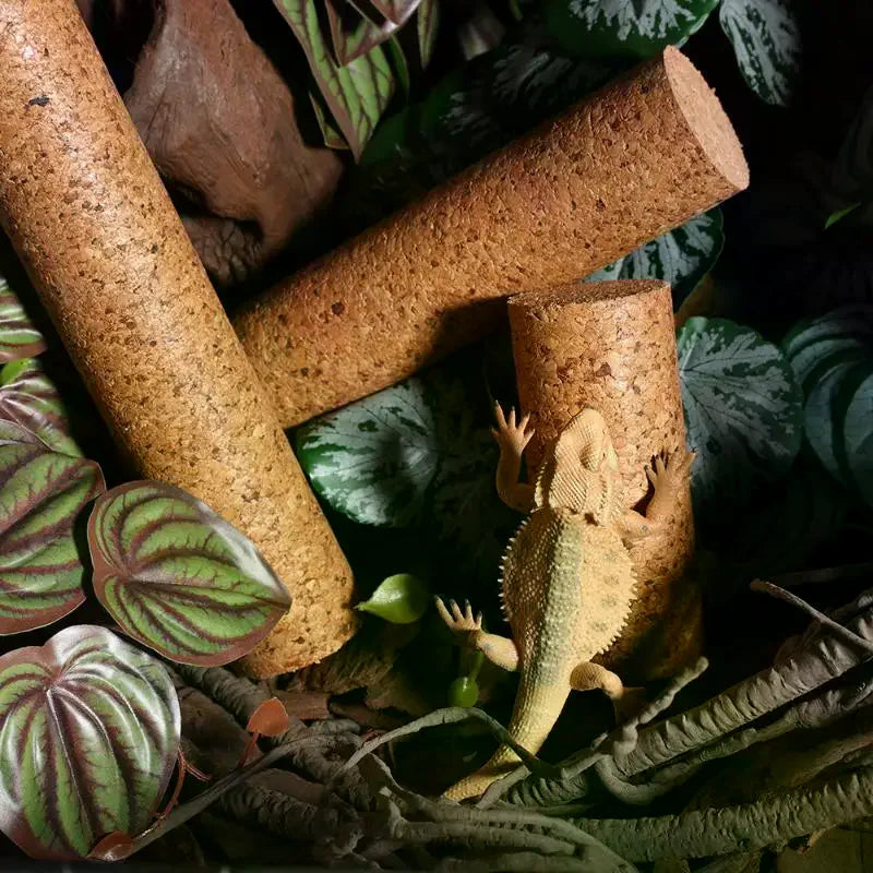 Reptile Soft Wood Climbing Branch – Terrarium Lizard Gecko Decor Reptile Terrarium Decor Qst